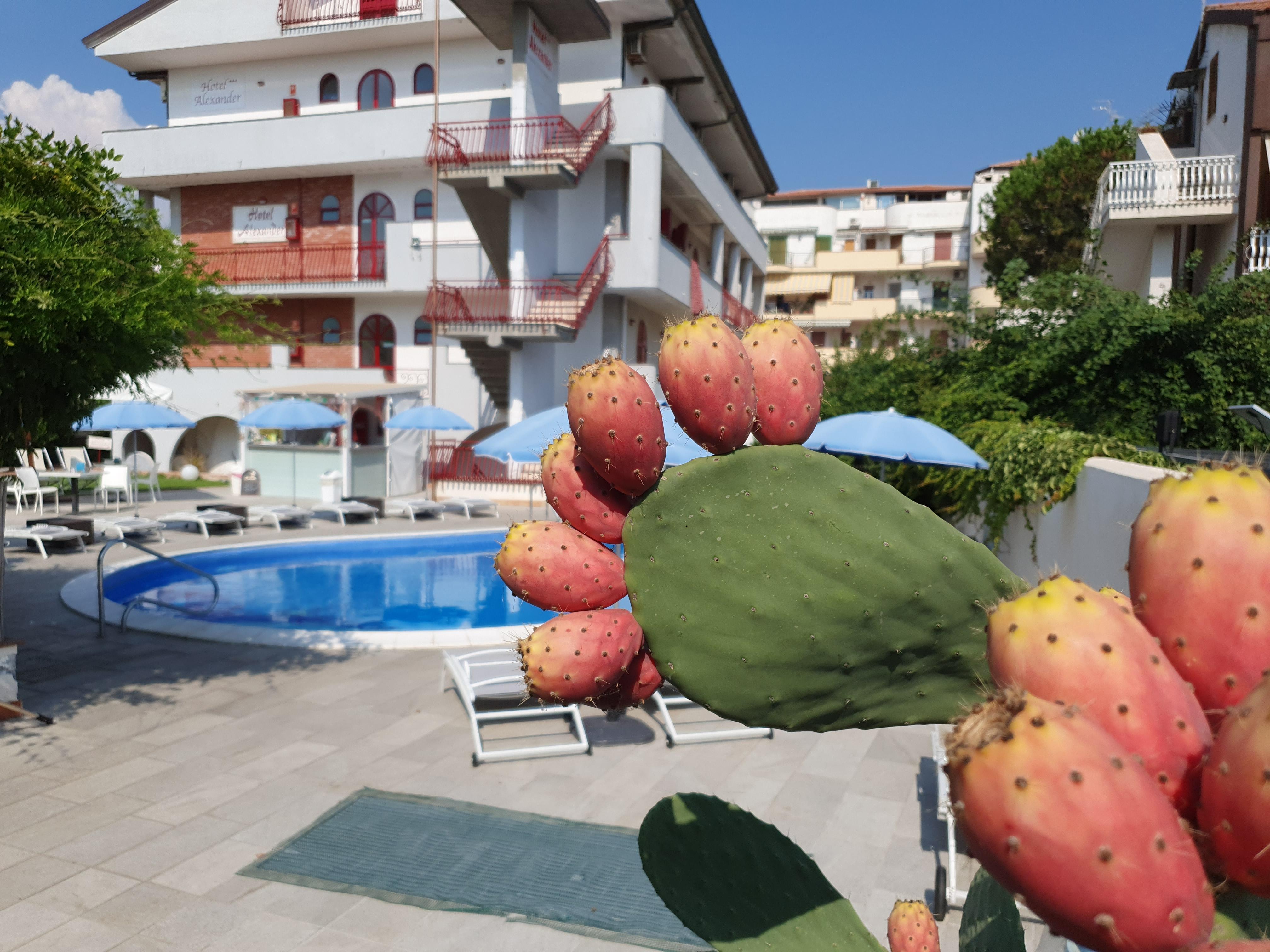 Hotel Alexander Giardini-Naxos